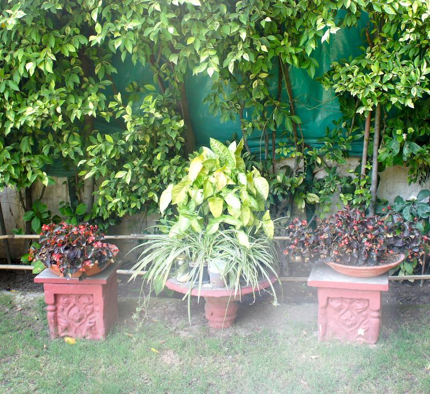 Sirohi House New Delhi Exterior photo