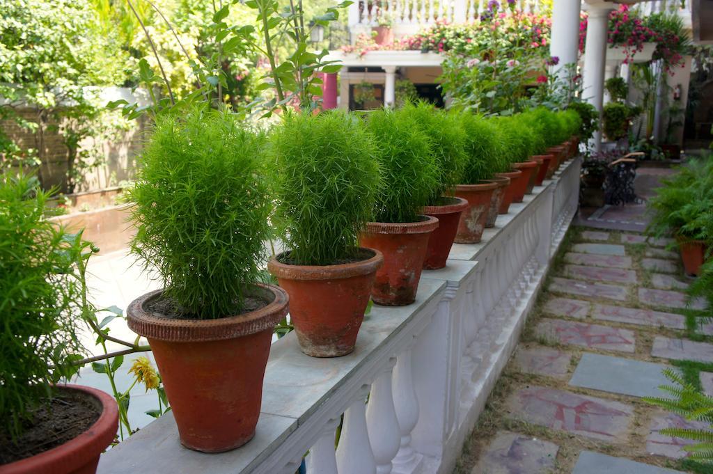 Sirohi House New Delhi Exterior photo
